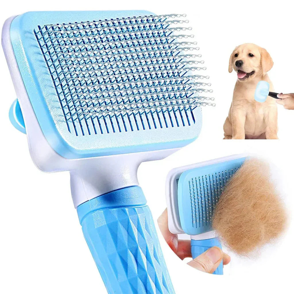 Close-up of a dog being groomed with a professional pet brush