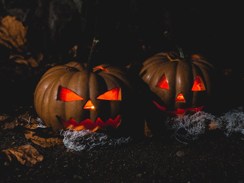 Halloween Ideas
