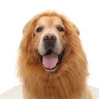 Halloween Accessories Pet Lion Head Wig Cosplay Dog Head Set Everyday Party Pet Supplies Creative Funny Dog Hair