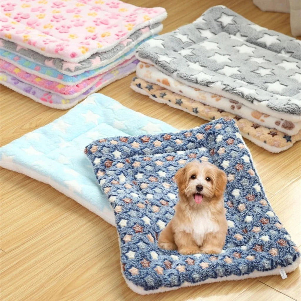 A small brown dog sitting on a blue and gray star-patterned thickened fleece dog bed mat.