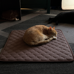 Cat lying on a quilted mat in a dimly lit room