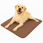 Dog lying on a brown mat with a white background