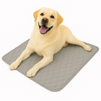 Dog lying on a hexagonal patterned mat with a white background