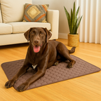 Dog lying on a quilted mat in a living room with a couch and plant in the background.