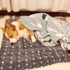 Dog sleeping under a patterned blanket on a bed
