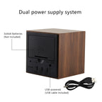 Elegant Pibi Electronics Clock