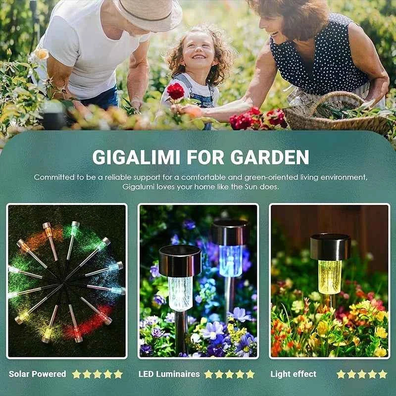 Solar Pathway Lights, 10-Pack | Outdoor Garden Stake Lanterns