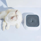 Premium Pet Feeding Dish