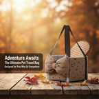 Adventure Awaits